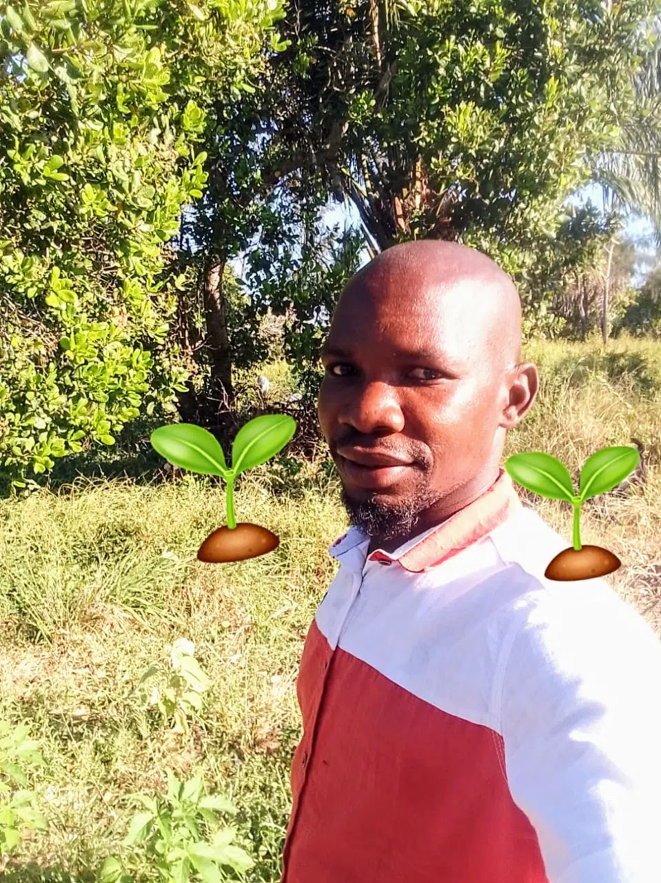 Profile picture of Julius